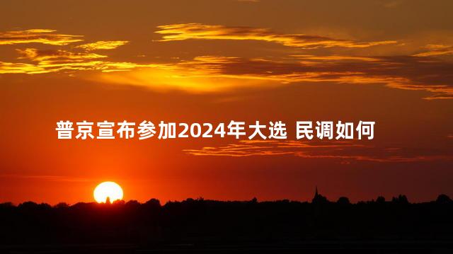 普京宣布参加2024年大选 民调如何